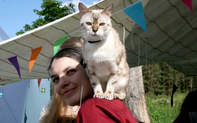 Matte och katt
